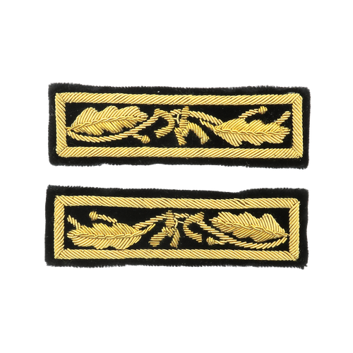 Attentes Officiers généraux DGA