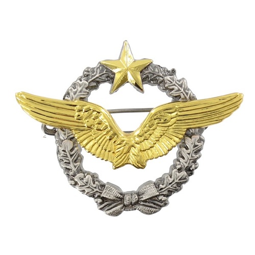 Brevet Pilote Armée de l'Air