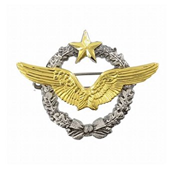 Brevet Pilote Armée de l'Air