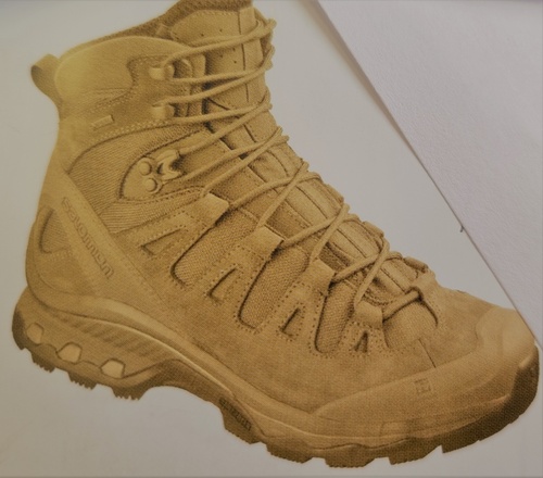 CHAUSSURE SALOMON QUEST 4D