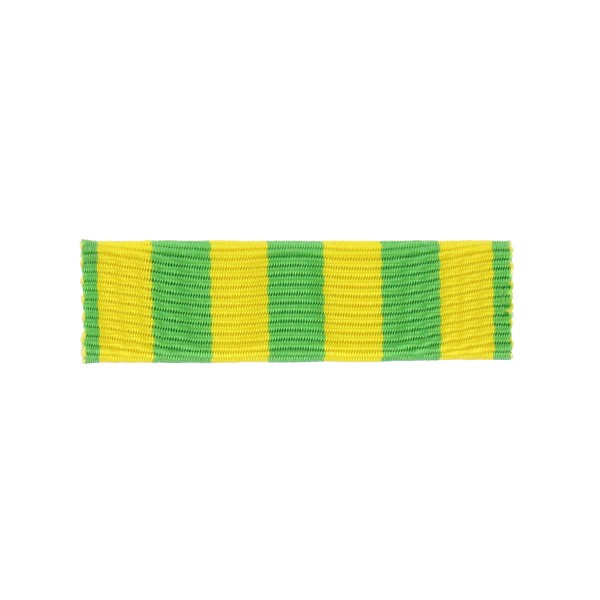 Dixmude commemo indochine