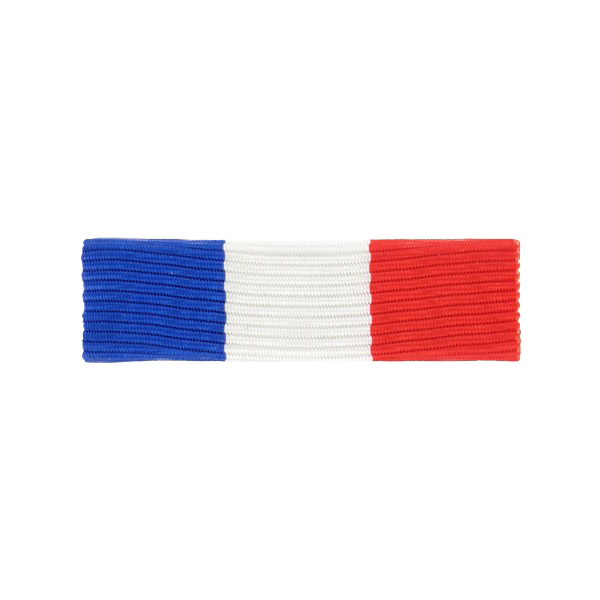 Dixmude courage et devouement