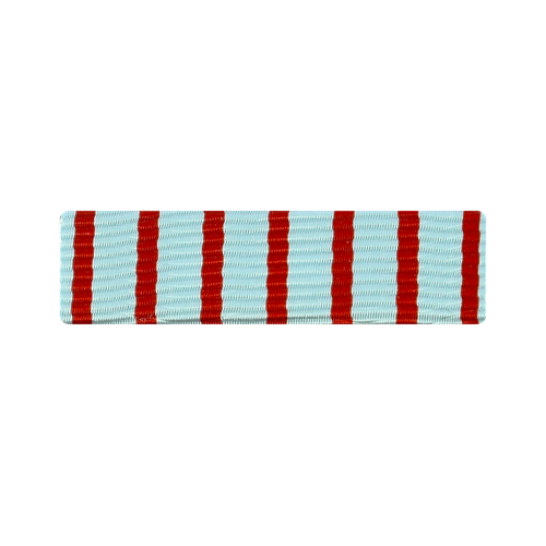 Dixmude Croix du Combattant