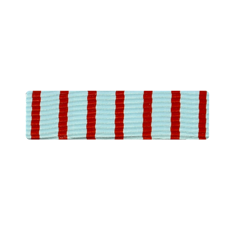 Dixmude Croix du Combattant