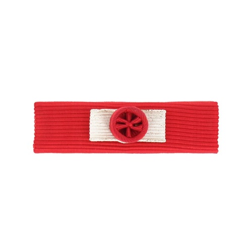 Dixmude Légion d'Honneur