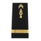 Fourreaux rigides Gendarmerie