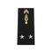 Fourreaux rigides Gendarmerie
