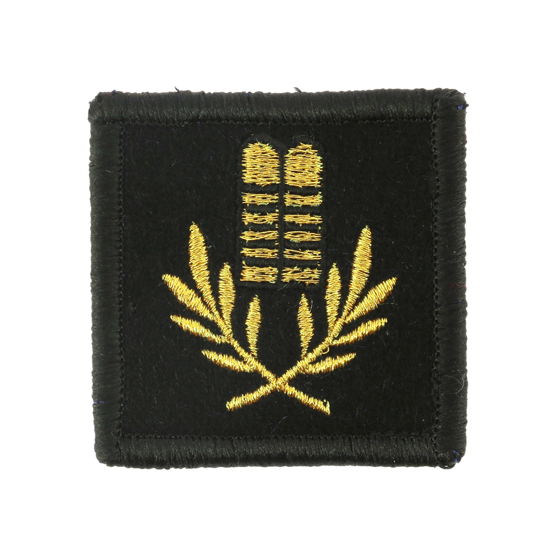 Galon de combat Aumonier