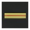 Galon de poitrine - Gendarmerie