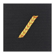 Galon de poitrine - Gendarmerie