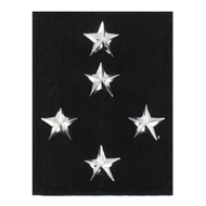 Galon de poitrine - Gendarmerie