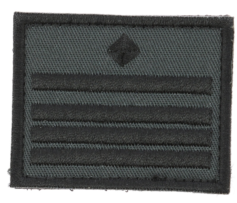 Galon de poitrine Police Nationale