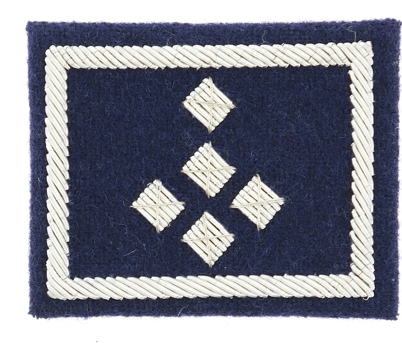 Galon de poitrine Police Nationale