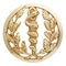 Insigne de beret
