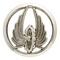 Insigne de beret