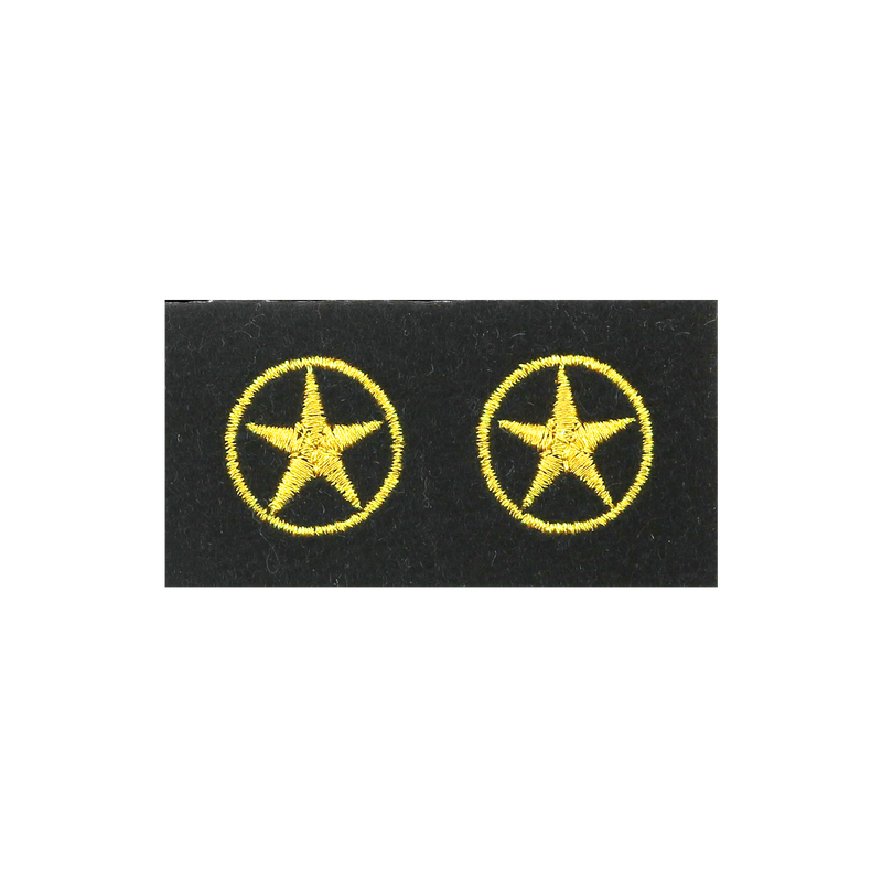 Insigne de spécialité Marine