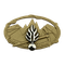 INSIGNE METAL BREVET TECHNIQUE MONTAGNE GD REF.611