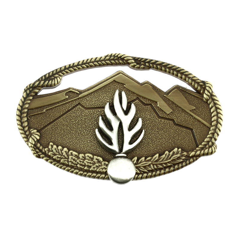 INSIGNE METAL CERTIFICAT ELEMENTAIRE MONTAGNE GD REF.609