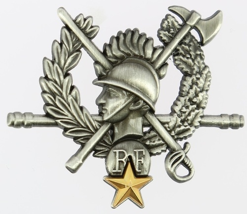 INSIGNE METAL CHEF DE CENTRE D'INCENDIE ET DE SECOURS AU MOINS 10 ANS -ETOILE OR
