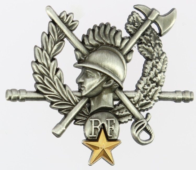 INSIGNE METAL CHEF DE CENTRE D'INCENDIE ET DE SECOURS AU MOINS 10 ANS -ETOILE OR