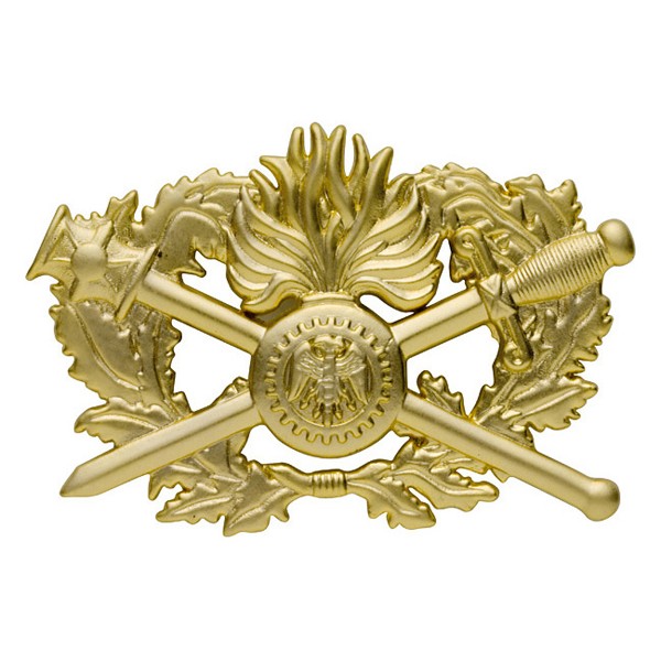 INSIGNE METAL CORP SOUTIEN TECHN.ADMINIS GD 2 NIVEAU REF.613