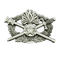 INSIGNE METAL TELECOM ET INFORMATIQUE GENDARMERIE REF.607