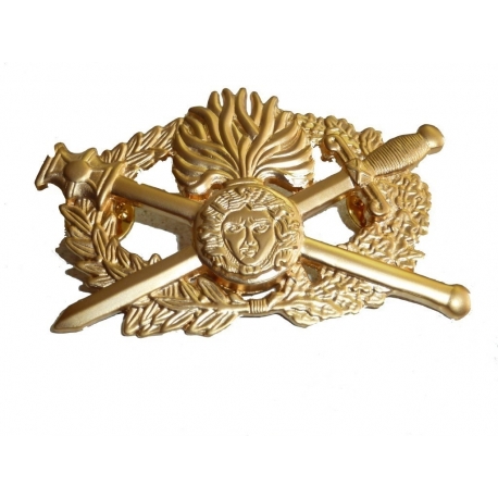 insigne metal dqsg