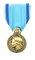Médaille de la jeunesse, des sports et de l'engagement associatif Bronze