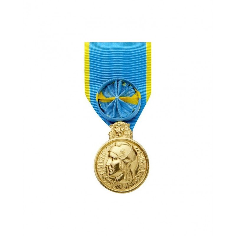 medaille ordonnance jeunesse et sport bronze dore avec rosette