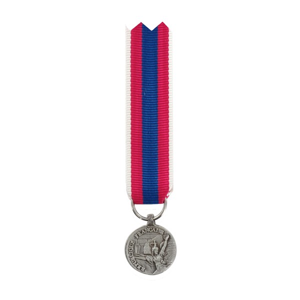 Médaille Défense Nationale DEFNAT Argent