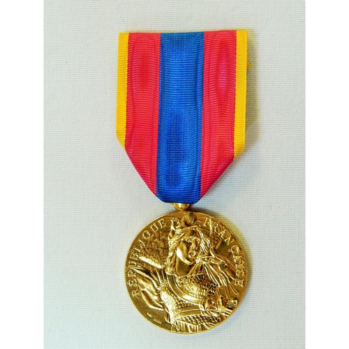 Médaille Défense Nationale DEFNAT Or