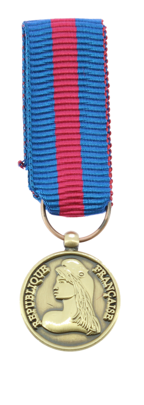 Médaille Médaille des réservistes volontaires de défense et de sécurité intérieure Bronze
