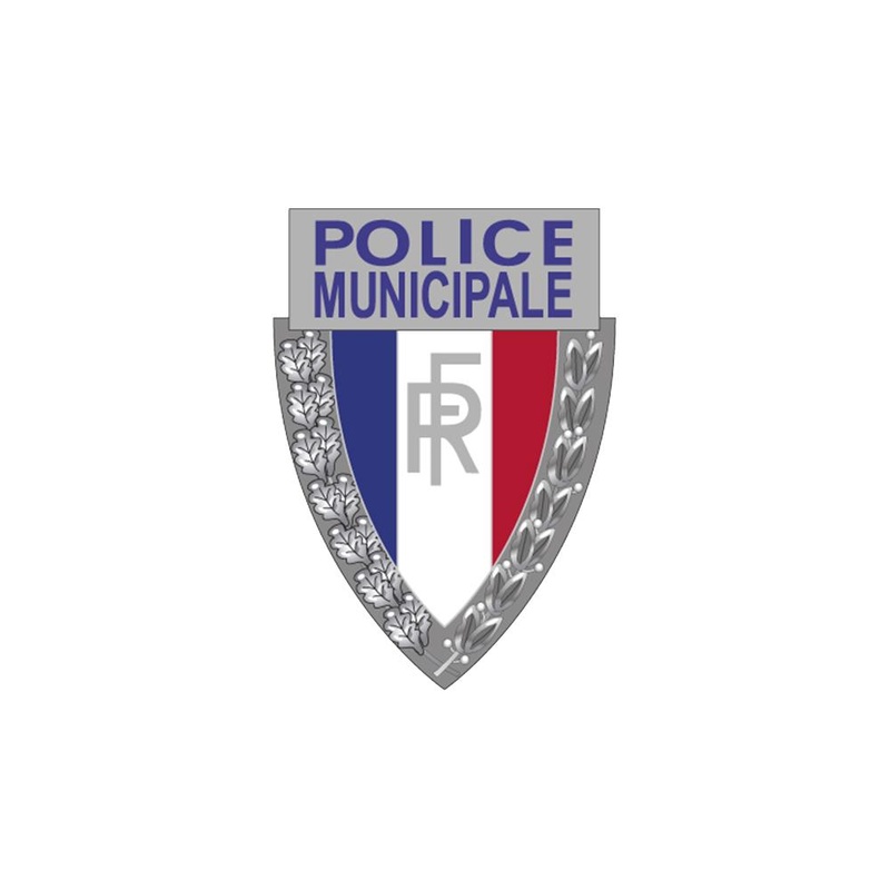 MEDAILLE TRIANGULAIRE P.M. POUR PORTE CARTE FONCTION