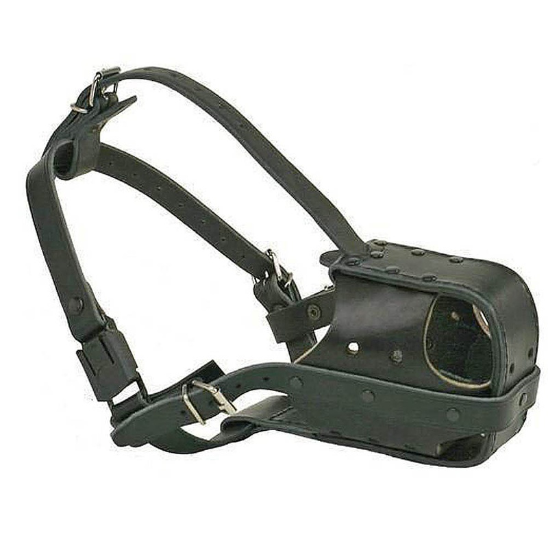 MUSELIERE BERGER ALLEMAND