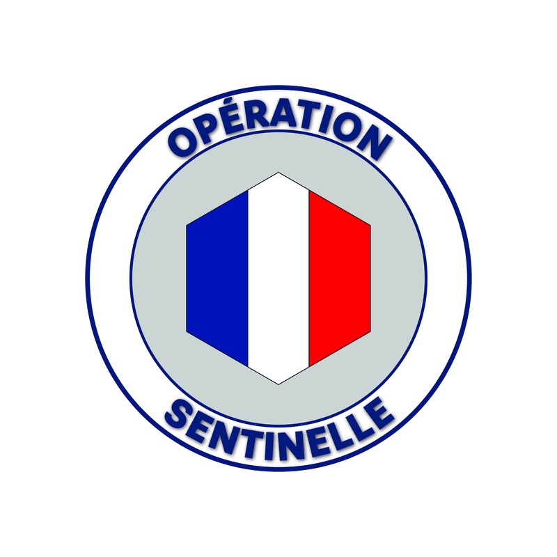 SENTINELLE NG
