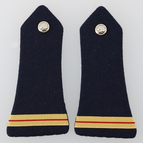 Pattes d'épaule Police Nationale