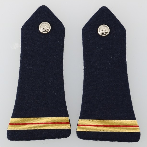 Pattes d'épaule Police Nationale