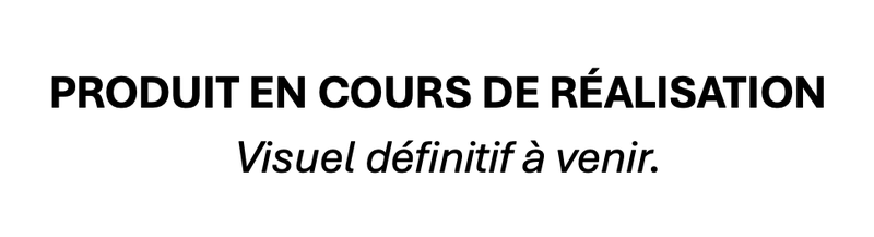 Pattes d'épaules officier  - Pénitentiaire