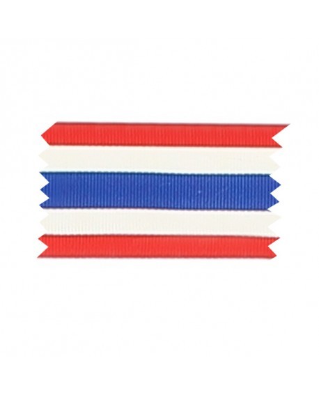 Ruban médaille d'honneur de la police Nationale